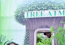आज लगाया गया हर पौधा आने वाली पीढ़ियों के सुरक्षित भविष्य का आधार बनेगा : मुख्यमंत्री विष्णुदेव साय