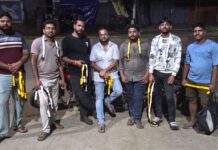 बेजुबान पशुओं की सुरक्षा में शिव मारुति युवा संगठन की अनूठी पहल, तीन वर्षों से जारी रेडियम बेल्ट अभियान