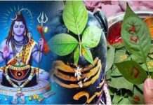 भगवान शिव की पूजा में बेलपत्र का विशेष महत्व, जानें क्यों प्रिय है महादेव को बेलपत्र