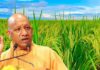 बीज से बाजार तक किसानों को मिल रही हर सुविधा, CM योगी बोले- डबल इंजन सरकार में किसान कर्ज के जाल से हुए मुक्त